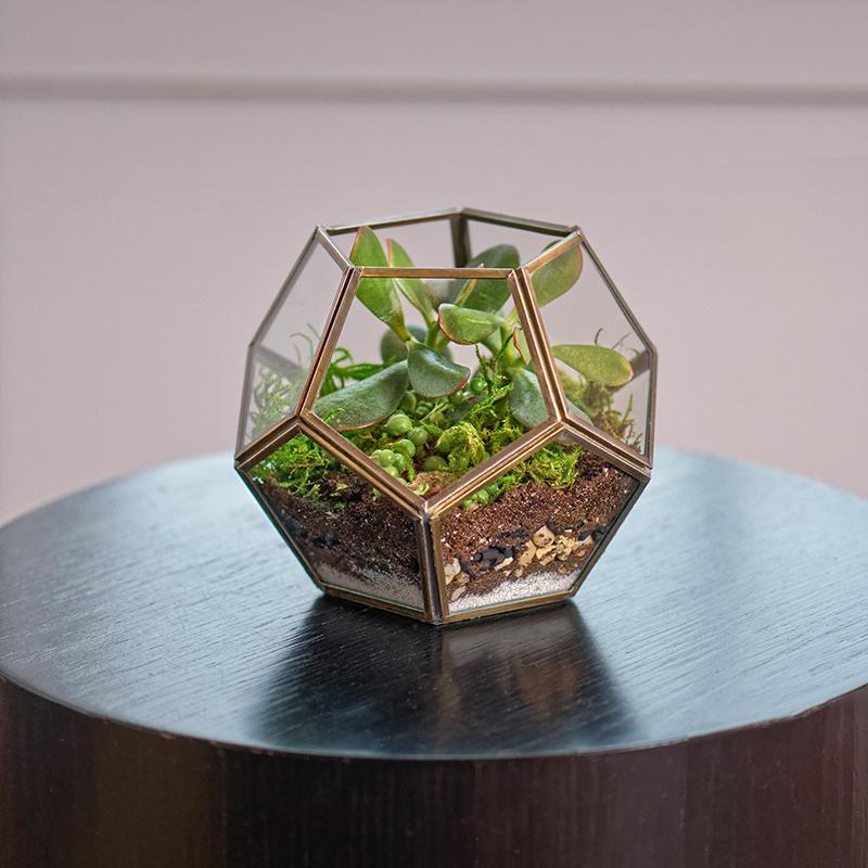 The Plant Lounge - Um, guys! The beautiful Green Glass Terrarium table by  Palm Urban is now available on preorder for delivery within the next four  weeks! This table is amazing and