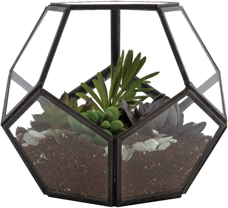 geometric air plant terrarium Urban Born Handmade Geometric Glass Terrarium Air Plant & Flower Holde
