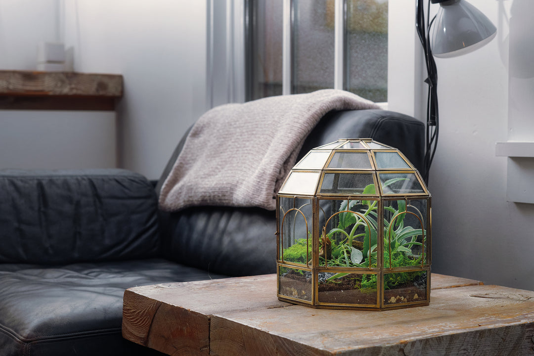 Bombay Furniture on sale Company Bird Cage / Plant Terrarium