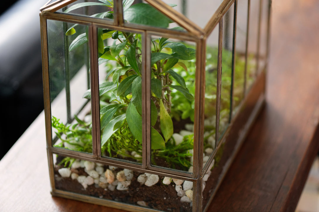 Handmade Large Glass Greenhouse Terrarium hot 10.25