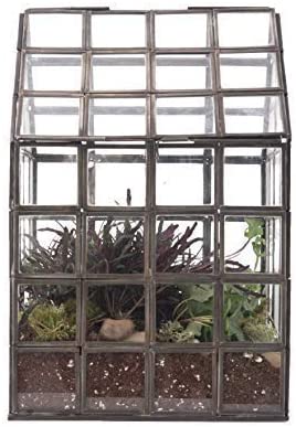 Urban Born Grid Greenhouse Large Glass Terrarium — 12" x 8" x 8" (Black Steel)
