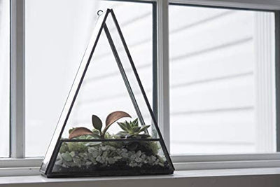Urban Born Handmade Glass Triangle Terrarium - 10" x 8"x 2.5" (Black Steel, Small)
