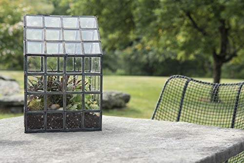 Urban Born Handmade Indoor Glass Case Terrarium with Separate Stand-- 32(L)  x 12(W) x 12(H) (Black)