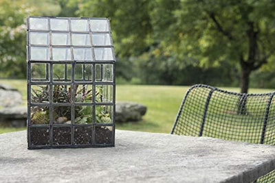 Urban Born Handmade Indoor Tabletop Glass Lattice Terrarium-- 8(L) x 8(W) x 12(H)" (Black)