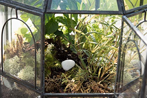 Urban hotsell Born Handmade Birdcage Large Glass Terrarium — 10