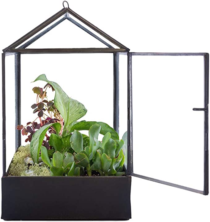 Urban Born Handmade Large Greenhouse Terrarium with Steel Sheet Base-10.25" X 6.5" X 9.75" (Black)