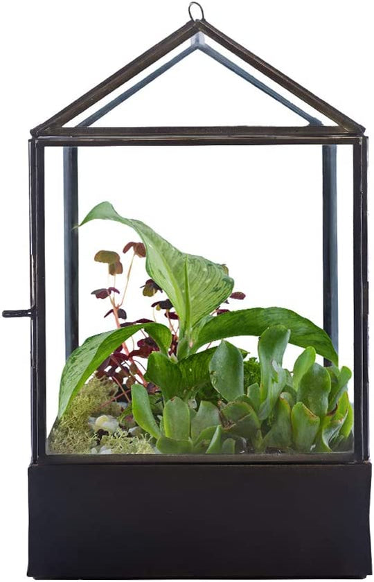 Handmade Large Glass Greenhouse Terrarium hot 10.25