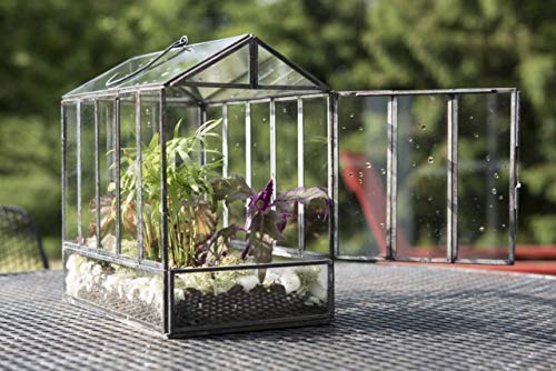 Urban Born Handmade Greenhouse Large Glass Terrarium — 10.25" x 9.75" x 6.5" (Black)