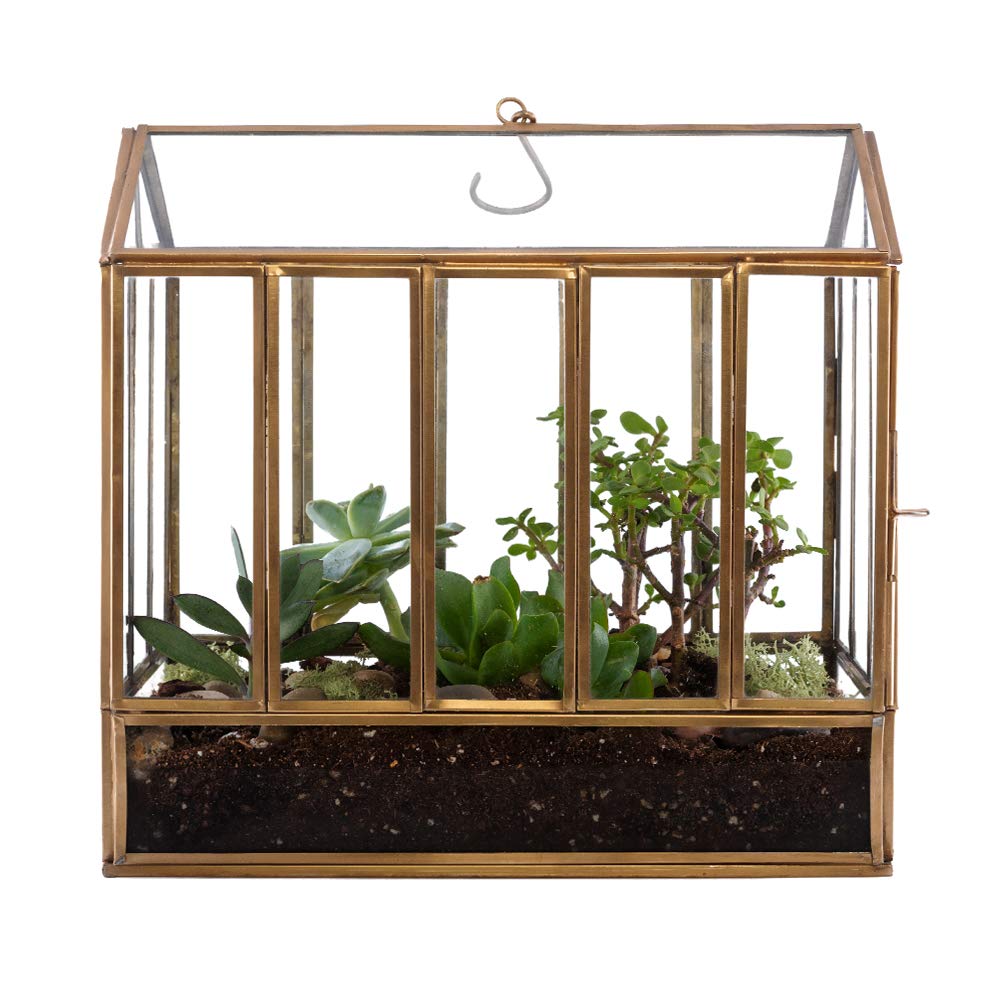 Urban Born Handmade Indoor Tabletop Greenhouse Terrarium-- 10(L) x 6.5(W) x 10(H)" (Bronze)