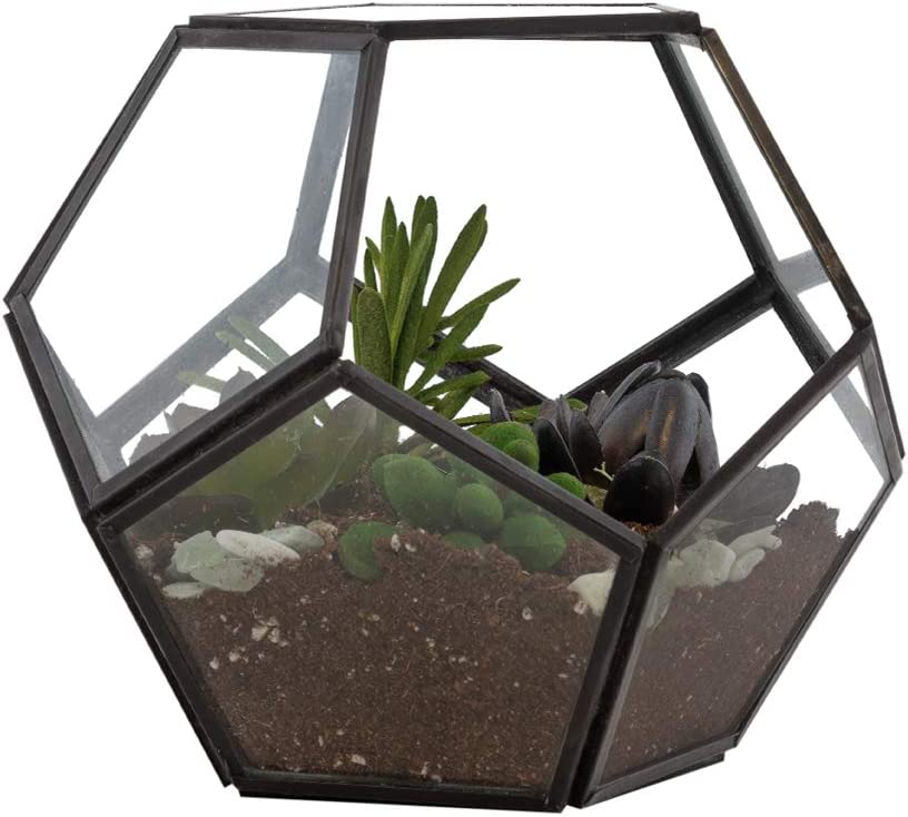 Urban Born Handmade Geometric Glass Terrarium Air Plant & Flower Holder | Fit for Modern Table Top, Window Sill | Open Face DIY Display Box for Succulent Fern Moss Air Plant