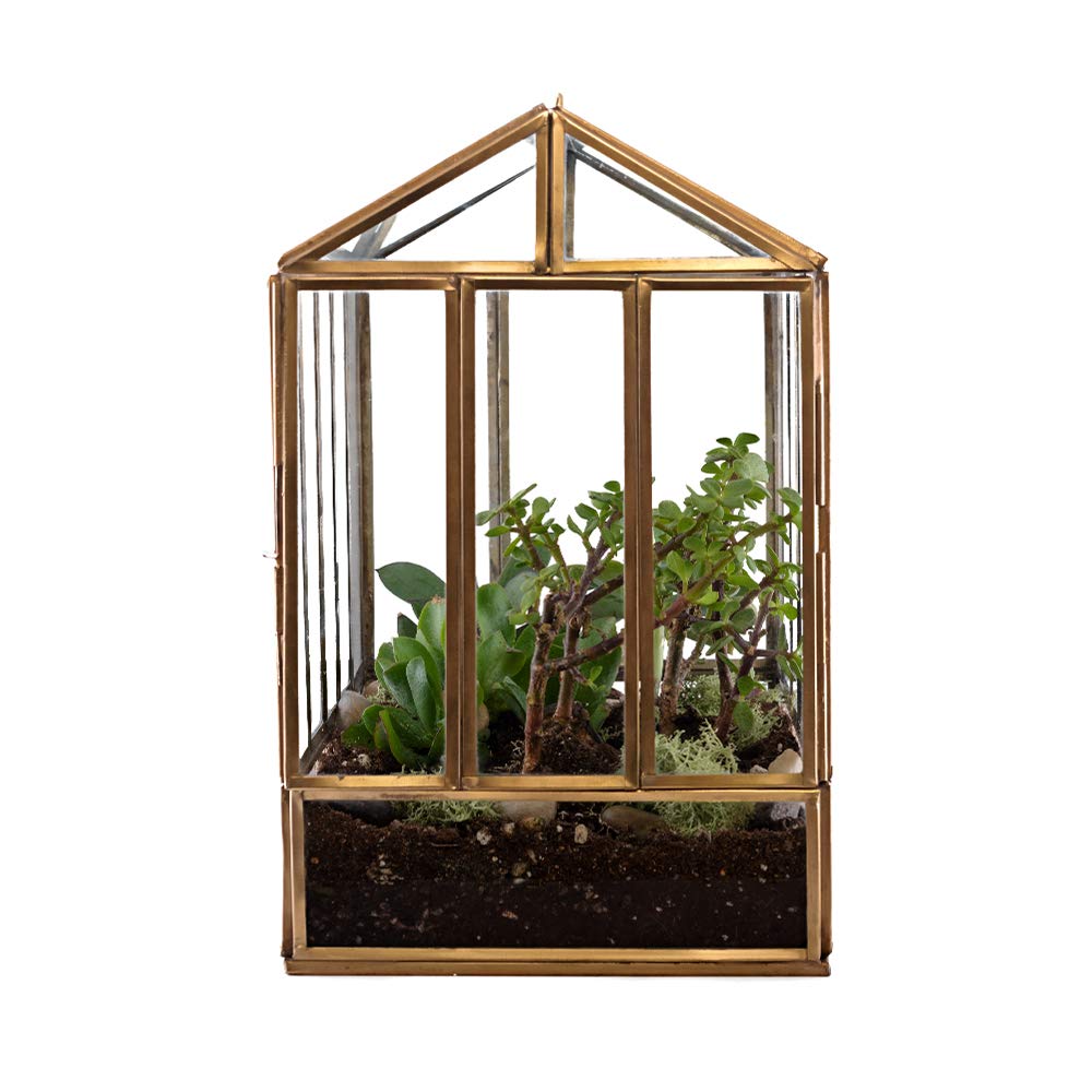 Urban Born Handmade Greenhouse Large Glass Terrarium — 10.25" x 9.75" x 6.5" (Brass)