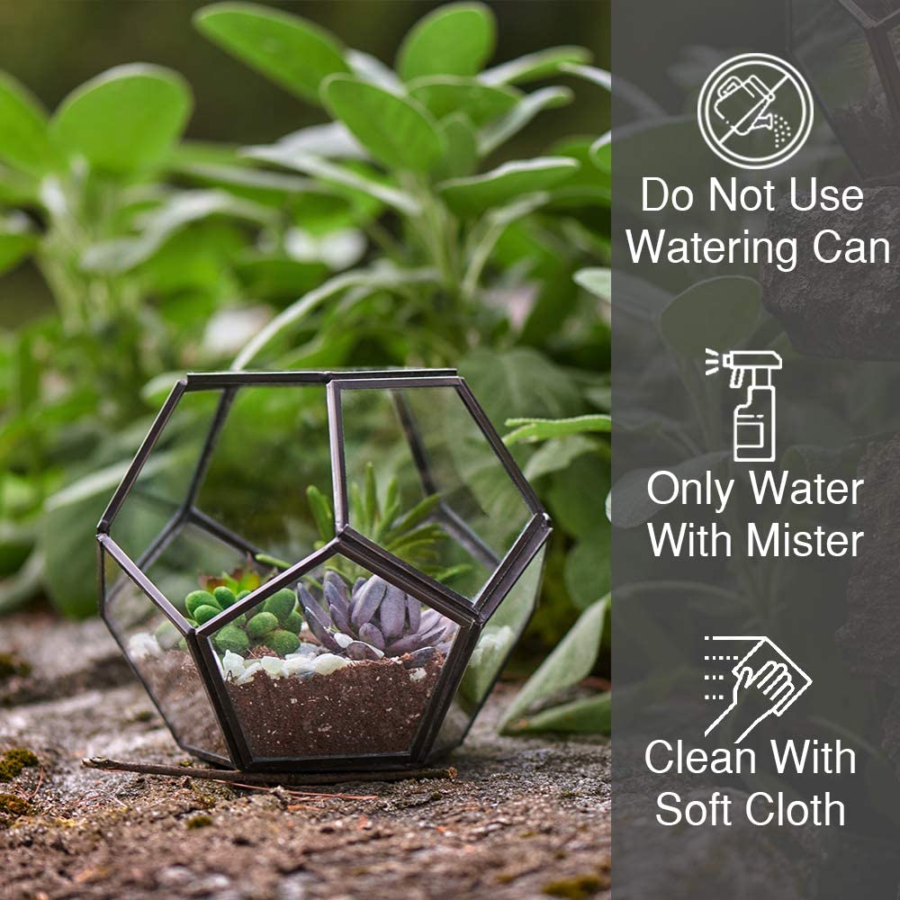 geometric air plant terrarium Urban Born Handmade Geometric Glass Terrarium Air Plant & Flower Holde