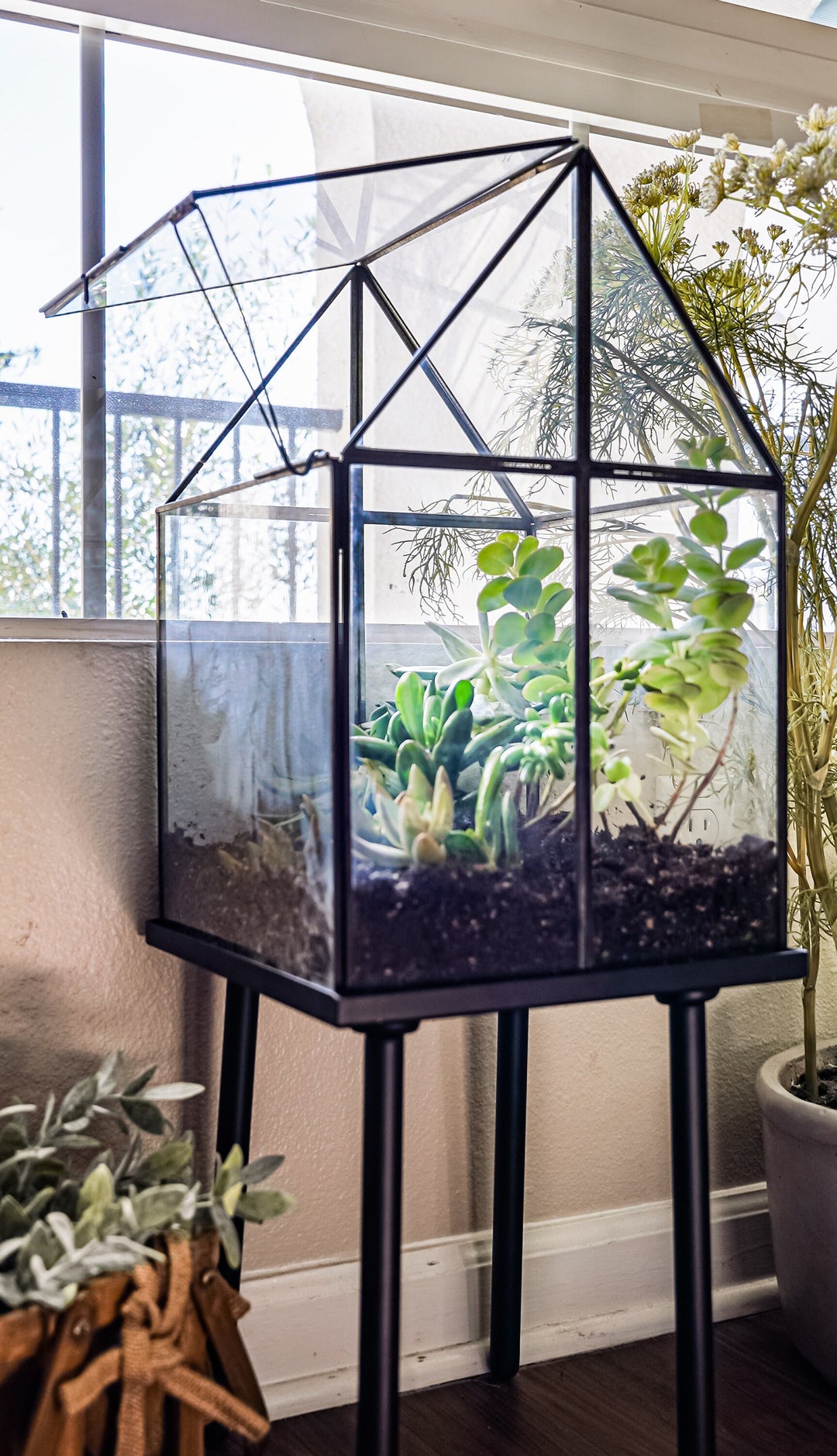 UB Extra Large Terrarium, Glass and Steel, Perfect for: Indoor Garden, –  Urban Born