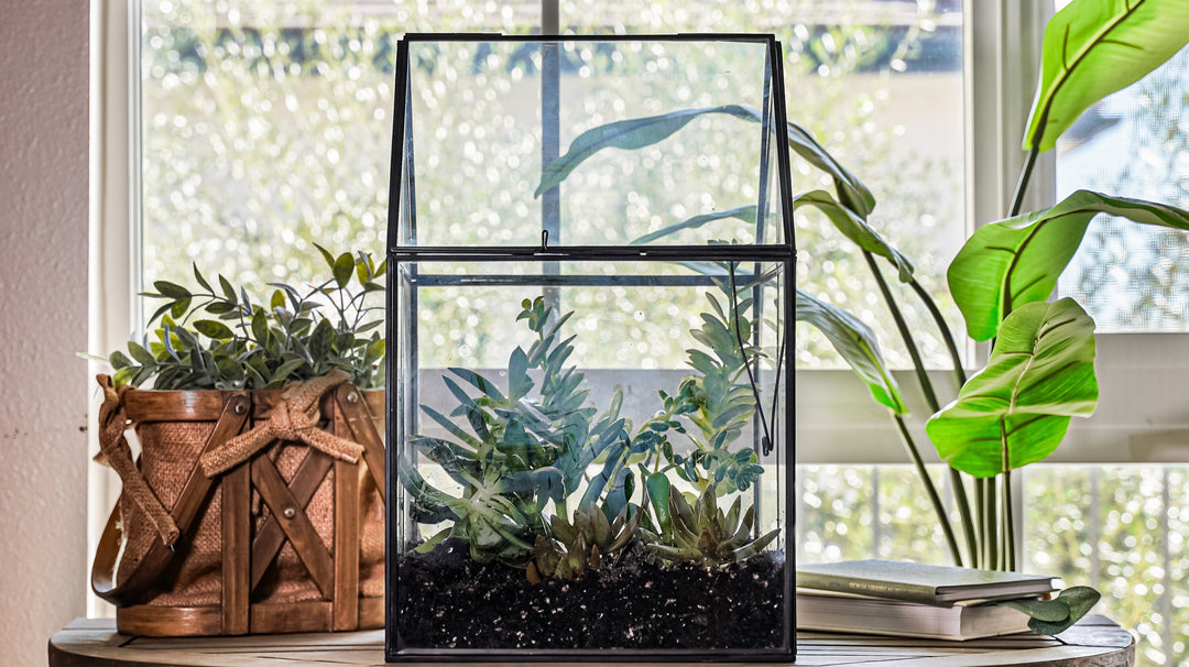 extra large terrarium for plants UB Extra Large Terrarium, Glass and Steel, Perfect for: Indoor Garden, –  Urban Born