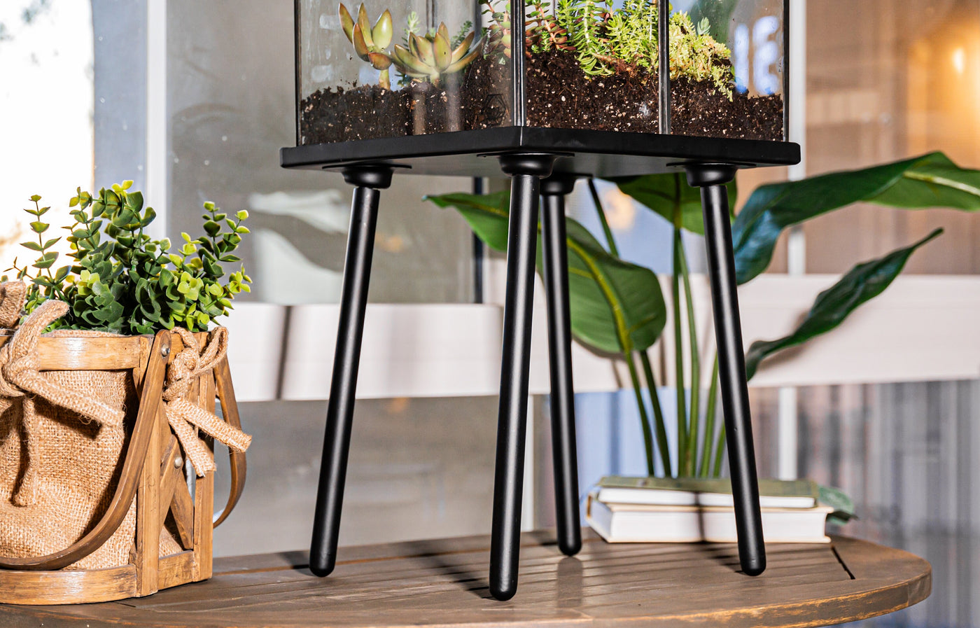 UB Extra Large Terrarium, Glass and Steel, Perfect for: Indoor Garden, Succulents, Cacti, Fern, Christmas and Wedding Gifts. (Black)